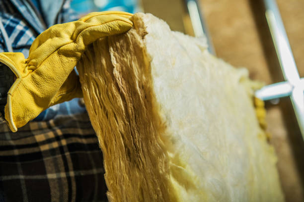 Best Commercial Insulation in Orange Park, FL