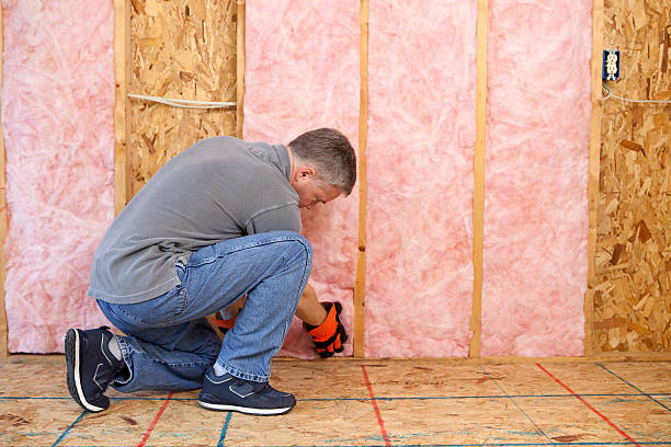 Best Types of Insulation in Orange Park, FL